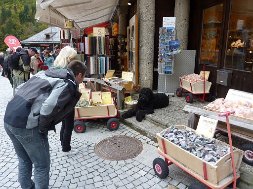 P1000082.JPG
