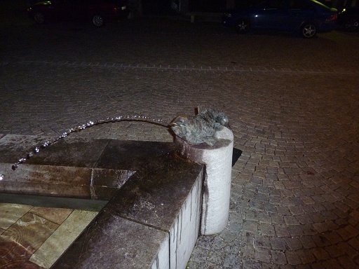 P1000117.JPG