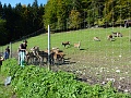 P1000169